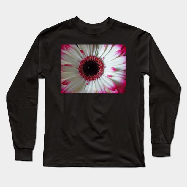 wonderful gerbera flower, pink,white Long Sleeve T-Shirt by rh_naturestyles